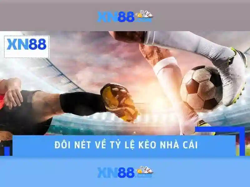 xn88: Tổng quan và những khía cạnh quan trọng