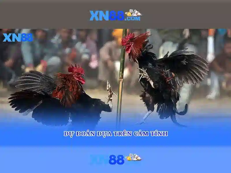 Phân loại trò chơi và tiền thưởng