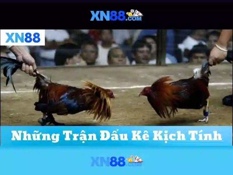 Giao diện nhà cái hoàn hảo