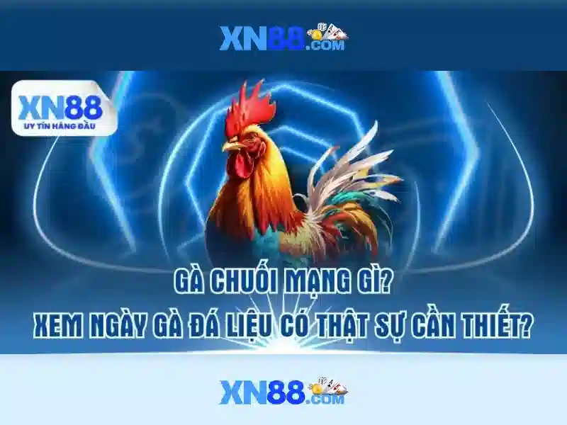 Giao diện nhà cái hoàn hảo