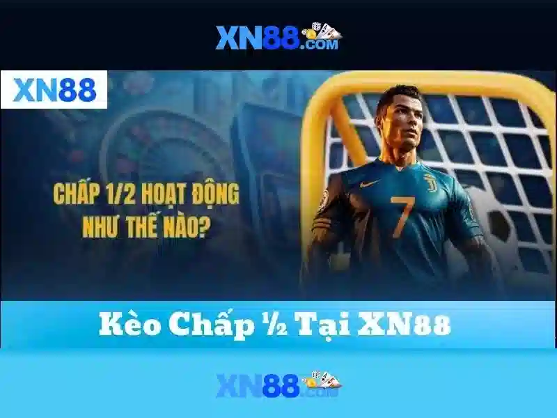 Tổng quan xn88 bet\n
