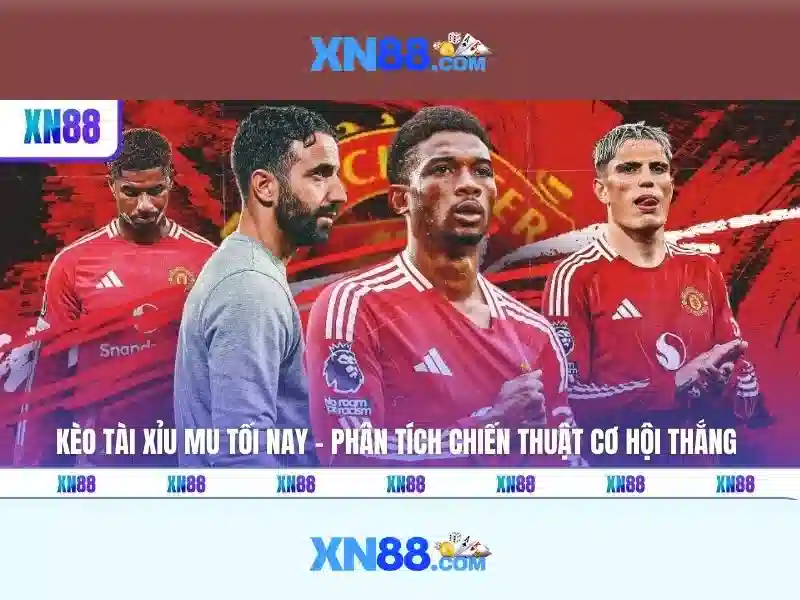 Giao diện nhà cái hoàn hảo