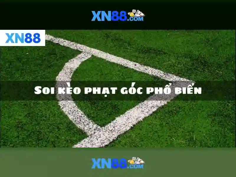 Xn88 là gì? Tổng quan về nền tảng cược trực tuyến