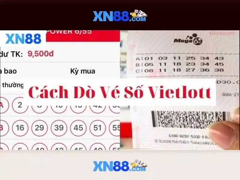 xn88 còn – Hành trình thương hiệu, trải nghiệm và đổi mới