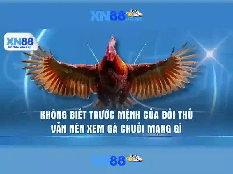 XN88: Nền tảng cá cược trực tuyến và những điểm nổi bật Giao diện nhà cái hoàn hảo