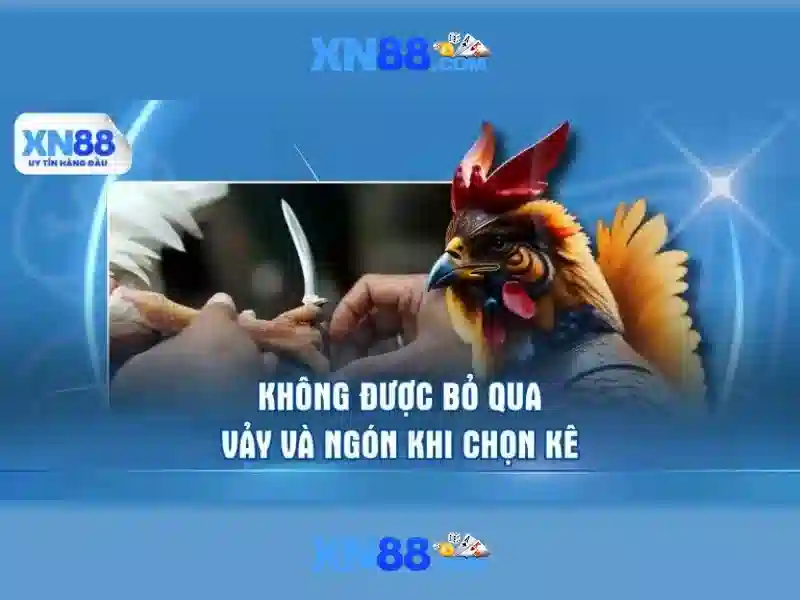Hỗ trợ khách hàng và phạm vi phục vụ