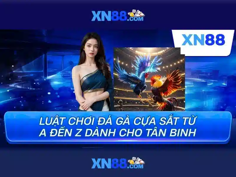 xn88: Nền tảng trực tuyến và đánh giá tổng quan
