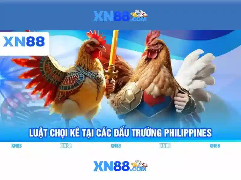 Hướng dẫn đăng ký và an toàn người chơi