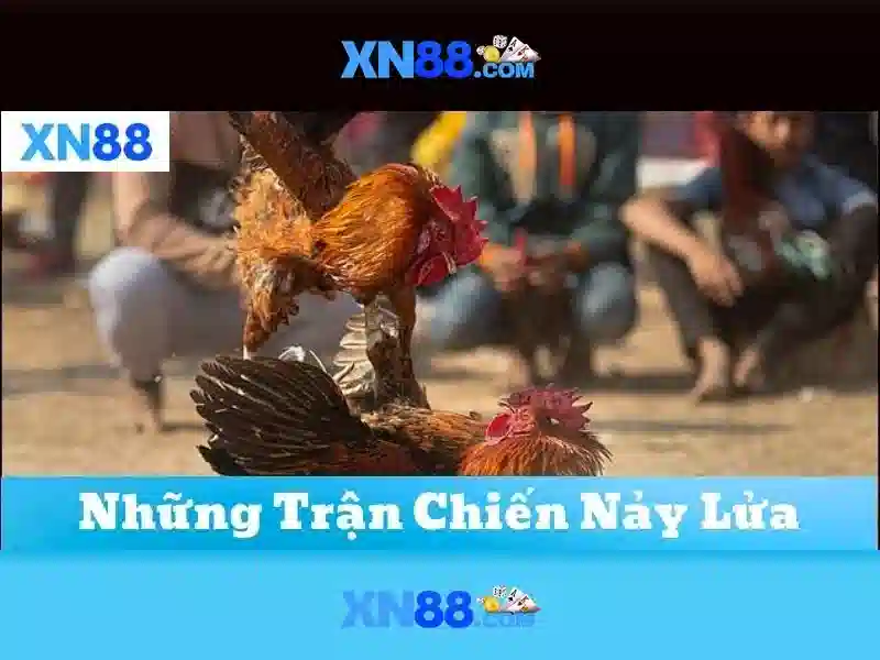 An toàn và bảo mật\n