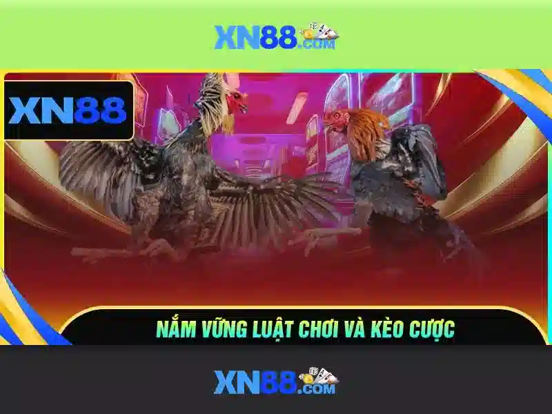 Xn88 là gì