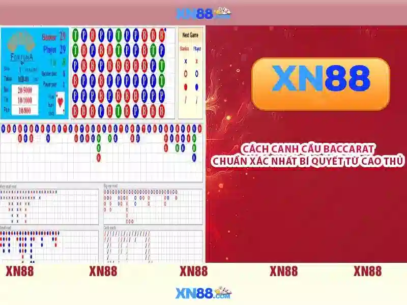 Giới thiệu xn88