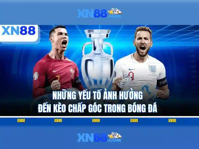 Trò chơi và linh hoạt cược