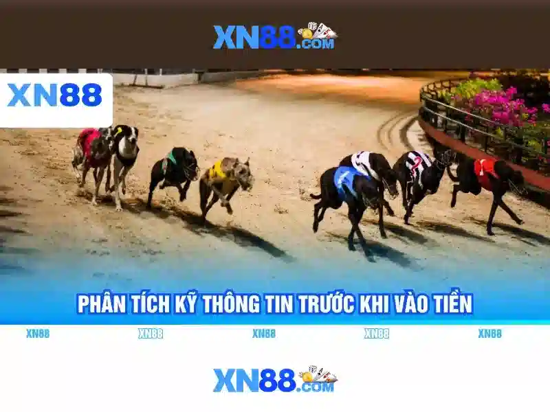 Cách chơi xn88: hướng dẫn chi tiết và xn88 app