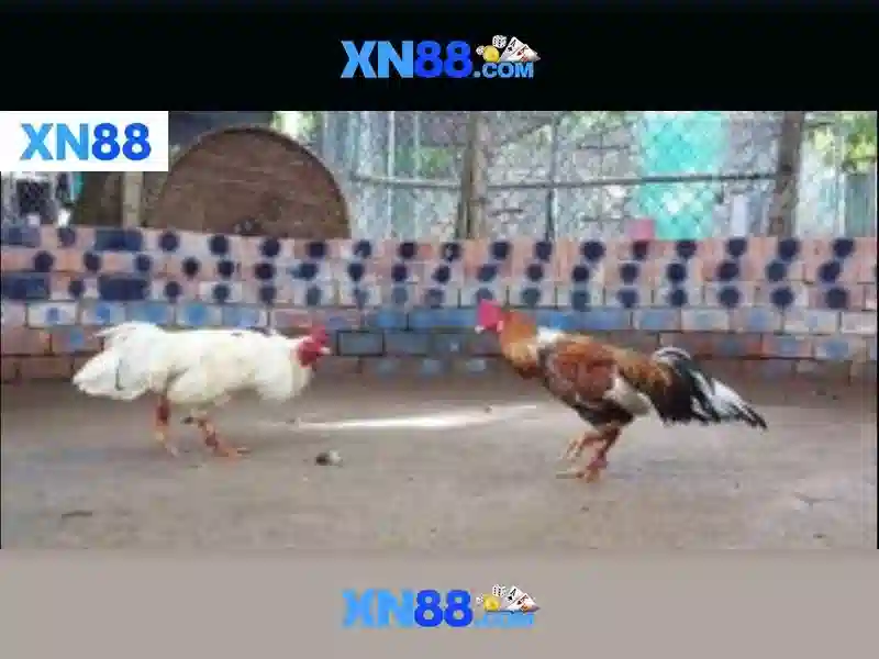 xn88 game: Trải nghiệm đỉnh cao và thương hiệu uy tín