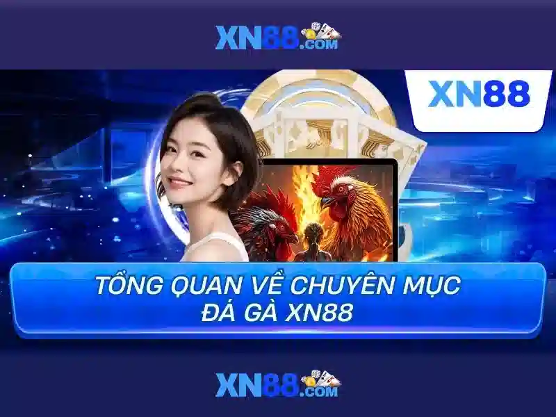 xn88: Tổng quan và trải nghiệm cược trực tuyến Giao diện nhà cái hoàn hảo