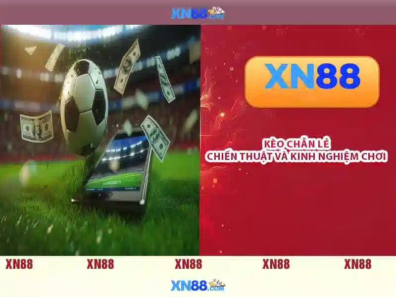 Lịch sử và nguồn gốc của xn88\n
