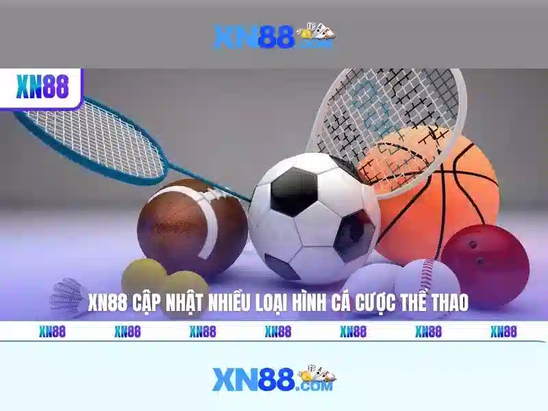 Giao diện nhà cái hoàn hảo