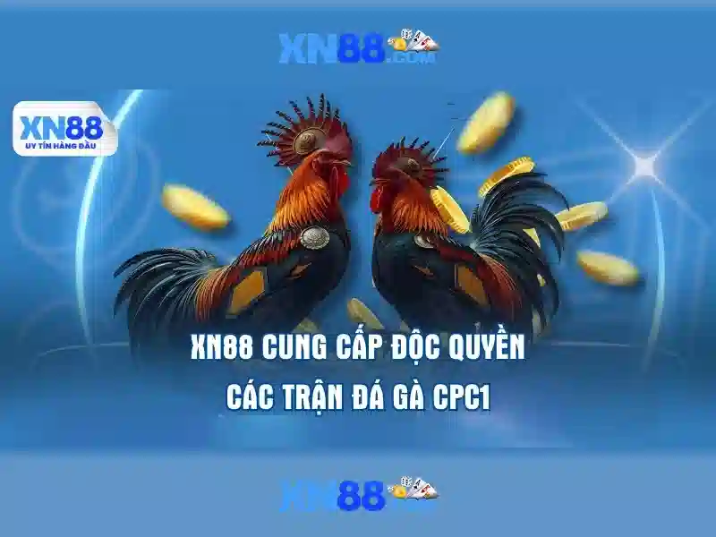 xn88 khuyến mãi – ưu đãi hấp dẫn và trải nghiệm đỉnh