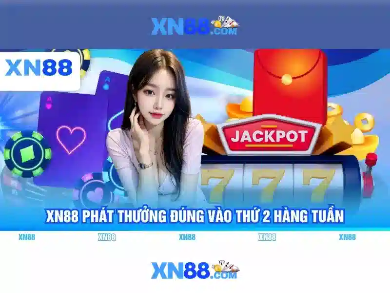 Giới thiệu về XN88\n\n
