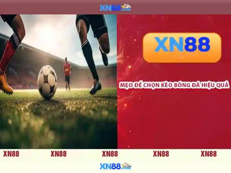 Danh mục trò chơi và trải nghiệm người dùng