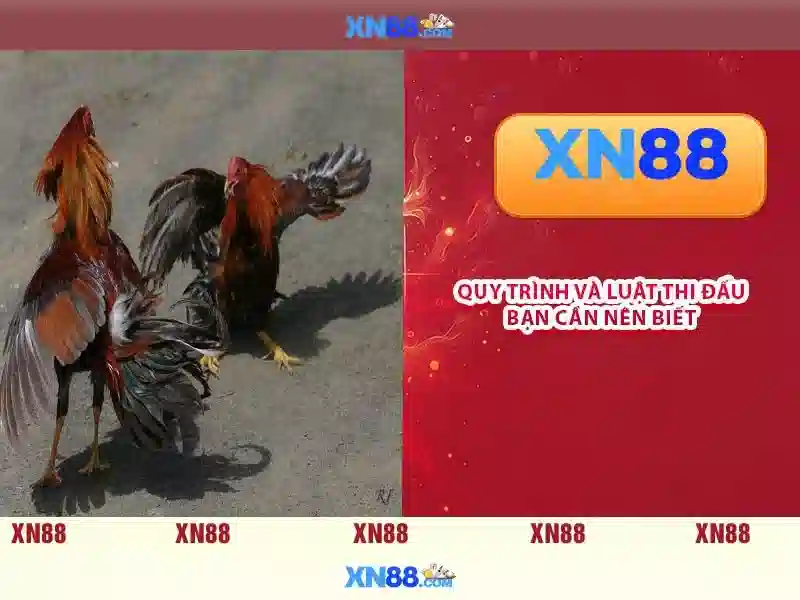 <!--IMG_PLACEHOLDER alt>Sản phẩm và dịch vụ cốt lõi-->