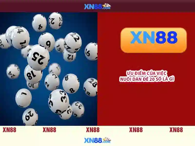 xn88 bet live – Tổng quan chủ đề và giá trị cốt lõi