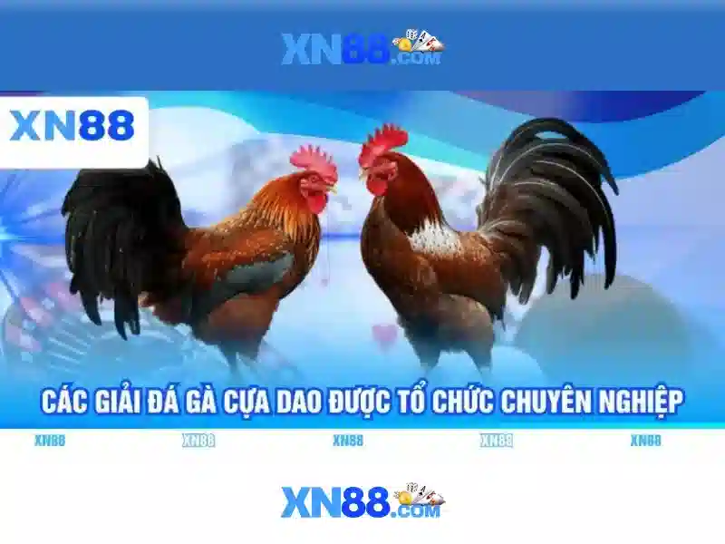 Khuyến mãi và thưởng
