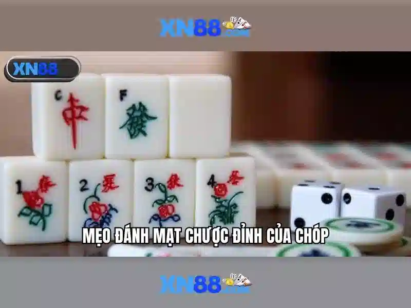Xn88: Nền tảng cá cược trực tuyến