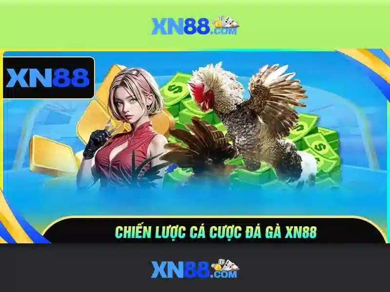 Lịch sử và nguồn gốc
