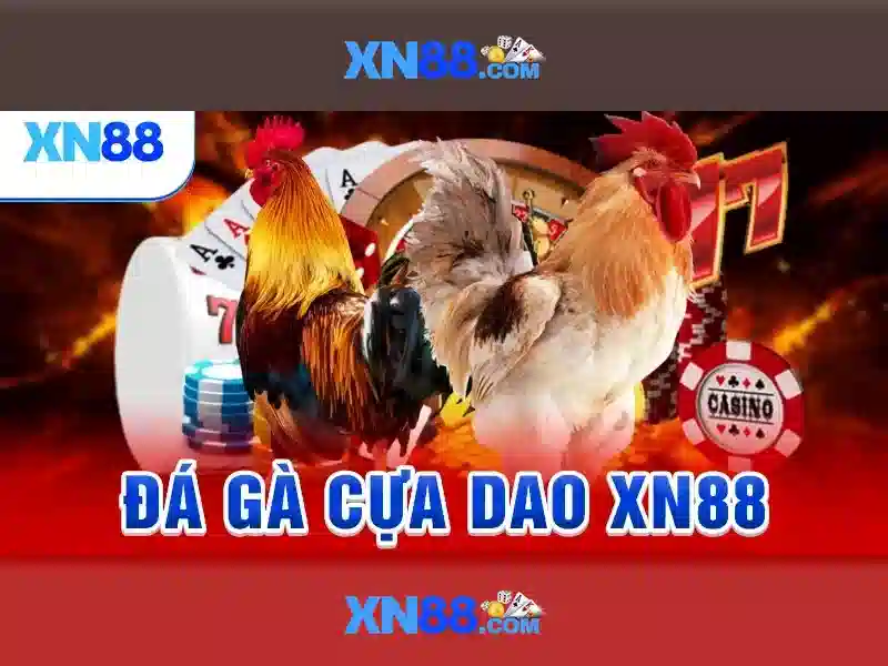 XN88: Nền tảng cá cược trực tuyến hàng đầu Giao diện nhà cái hoàn hảo