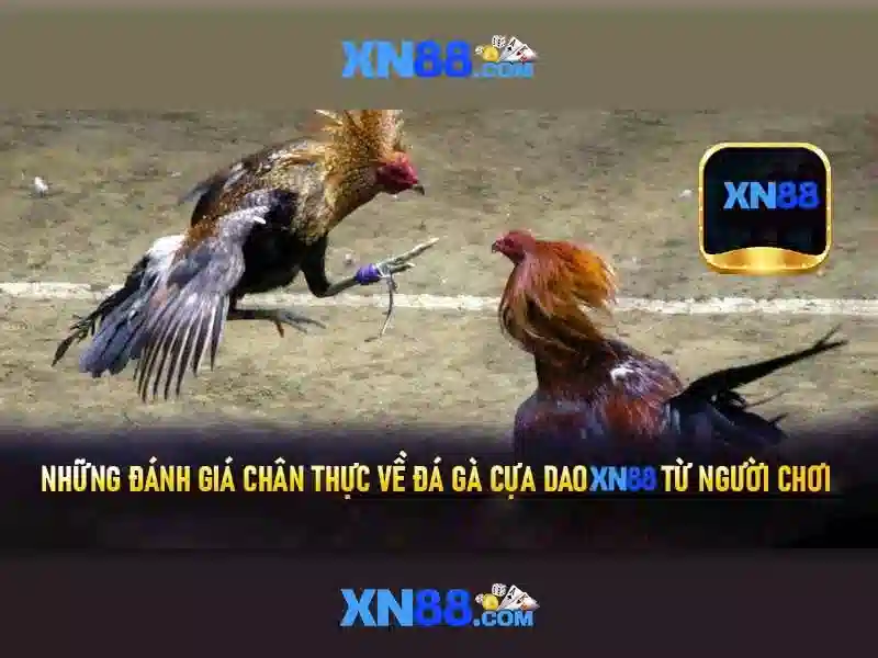 Tổng quan xn88 jpn.com