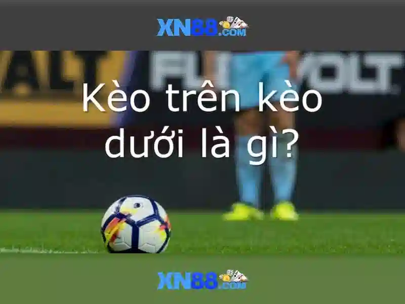 xn88 — Nền tảng trực tuyến và tổng quan