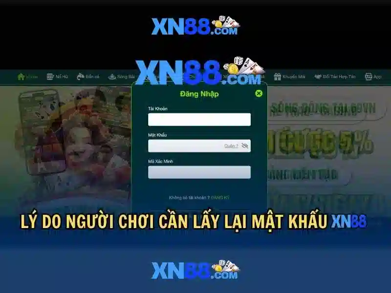 Tầm nhìn và tương lai của xn88 fit