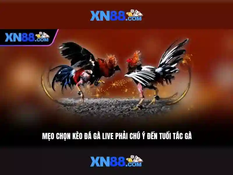 Tính năng nổi bật của xn88