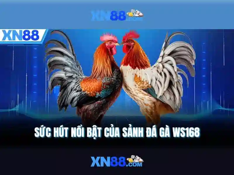 Giao diện nhà cái hoàn hảo