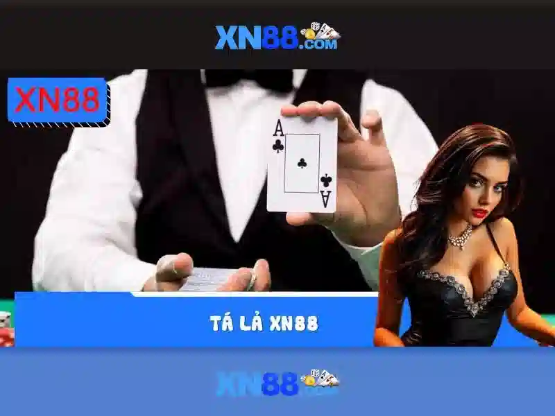 Trải nghiệm người dùng và tương tác cộng đồng\n