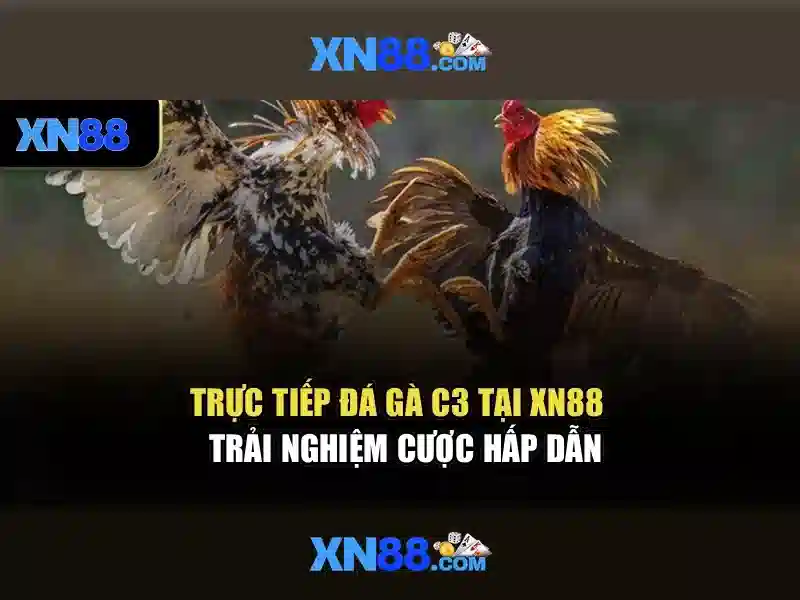 Giao diện nhà cái hoàn hảo