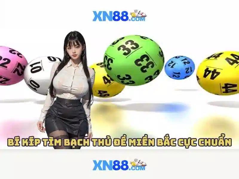 xn88: Tổng quan về nhà cái và cược trực tuyến