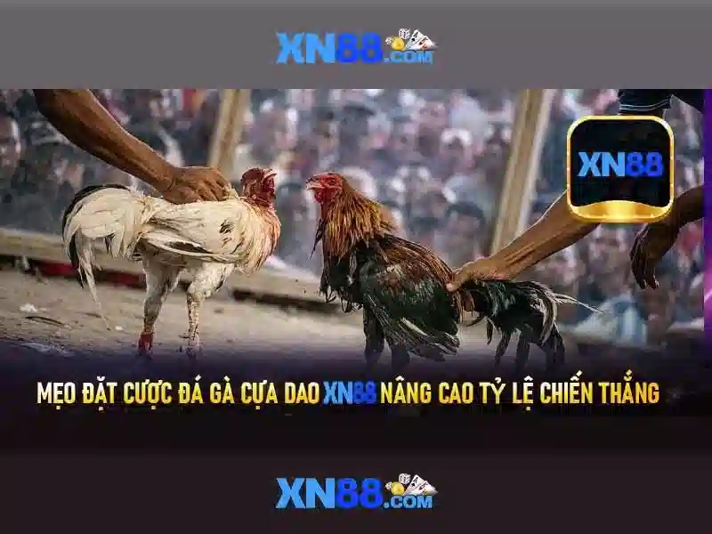 xn88: Nền tảng trò chơi trực tuyến và hành trình giải trí Giao diện nhà cái hoàn hảo