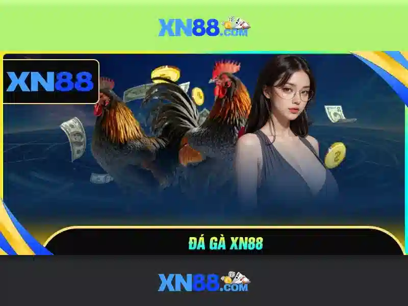 XN88 – Tổng quan và trải nghiệm người dùng