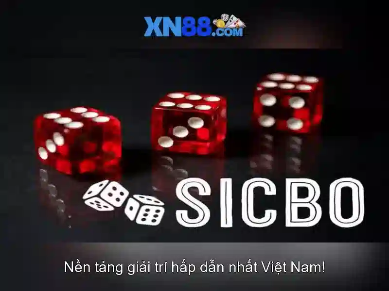 Giới thiệu về xn88
