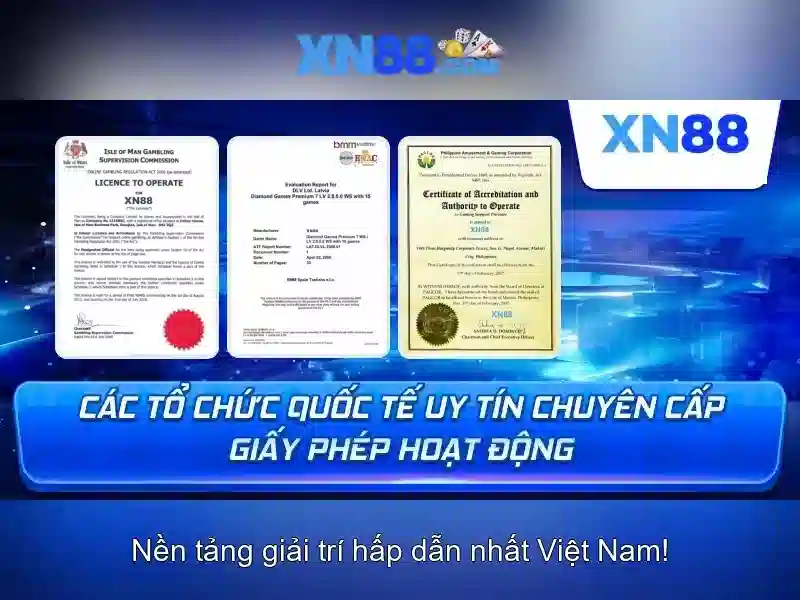 Ghi nhận nhanh về XN88