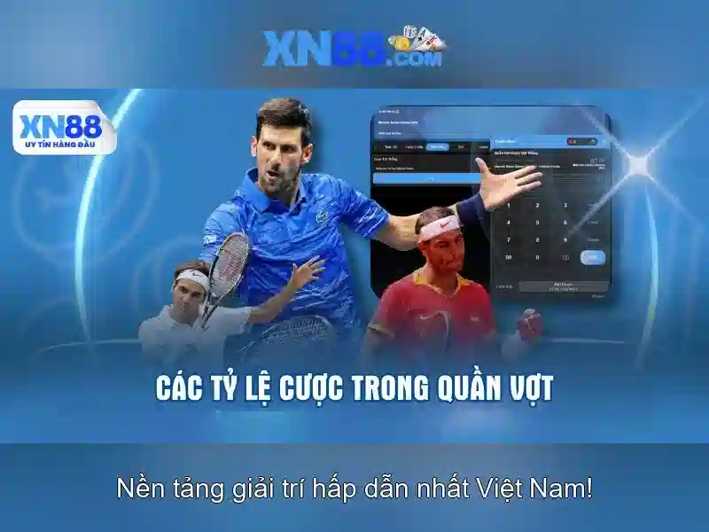 Kết nối người dùng và cộng đồng