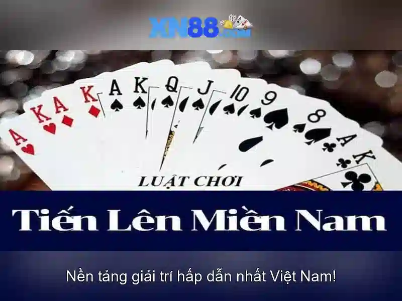 Lịch sử và phát triển