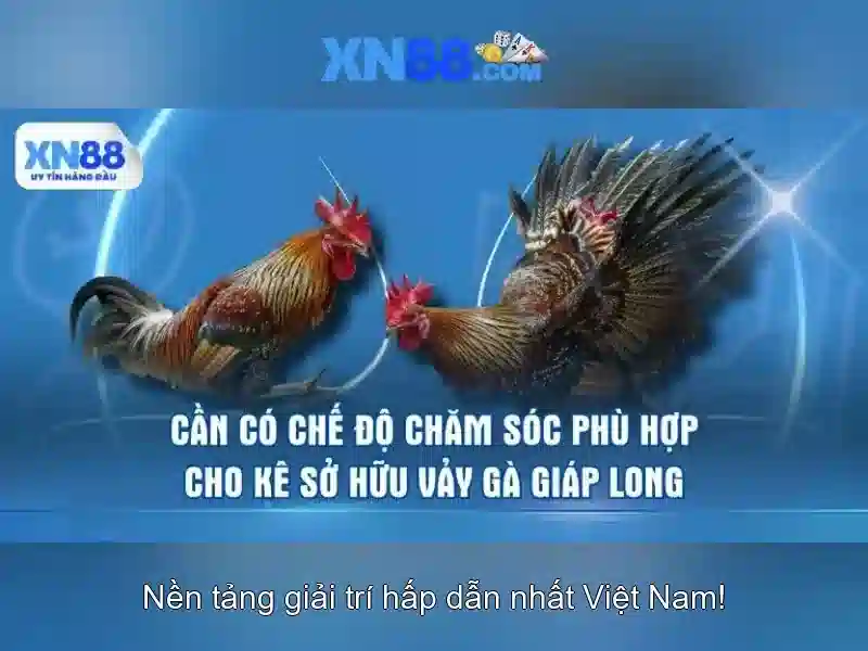 xn88 có lừa đảo không – Chủ đề tổng quan và giá trị cốt lõi