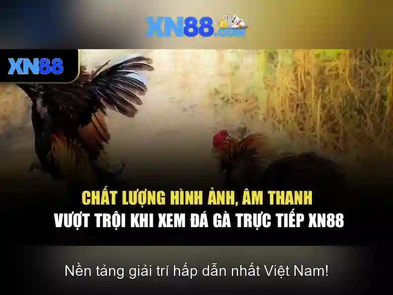 Hướng dẫn tham gia