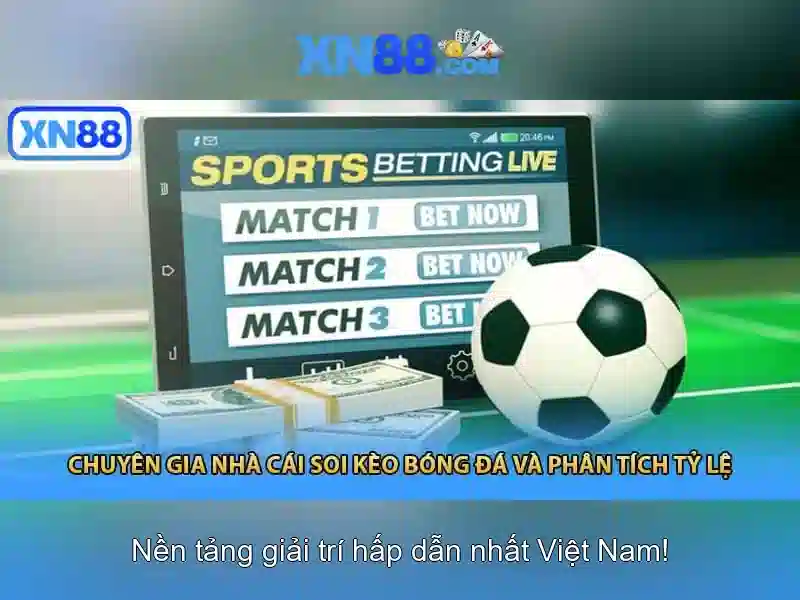 Giao diện nhà cái hoàn hảo