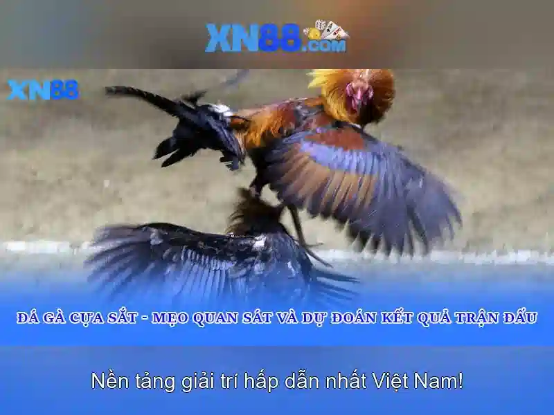 XN88: Tổng quan về nền tảng chơi trực tuyến