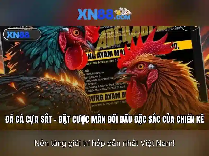 Giao diện nhà cái hoàn hảo
