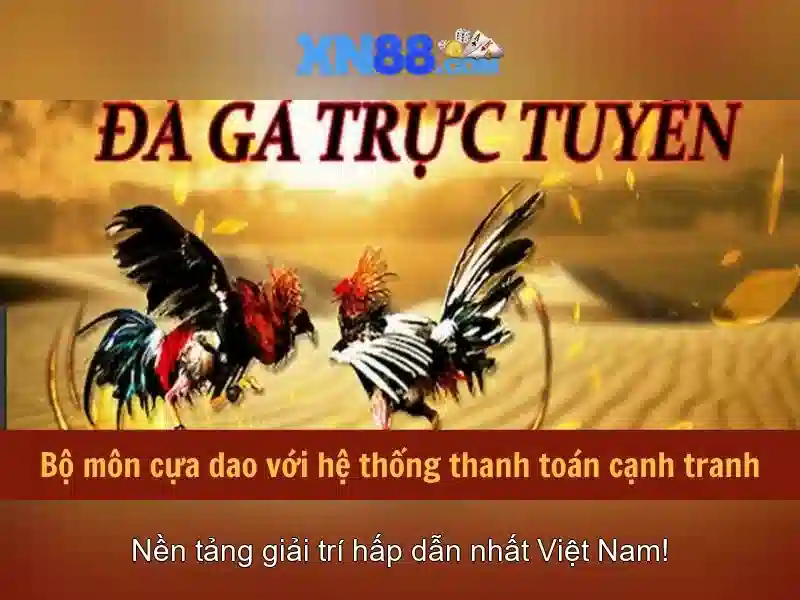 Kết luận xn88